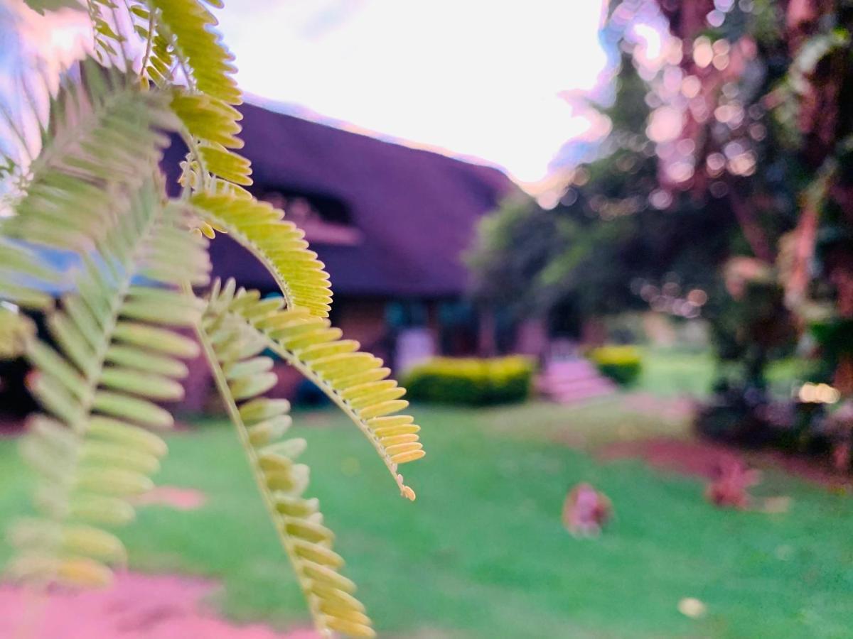 Farm Vibes Guesthouse Brits Luaran gambar