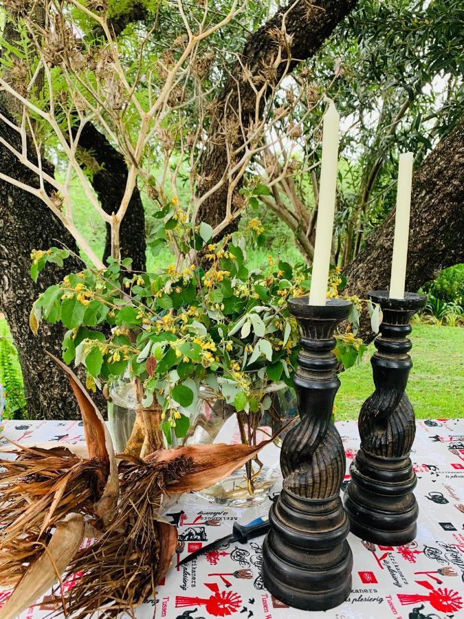 Farm Vibes Guesthouse Brits Luaran gambar